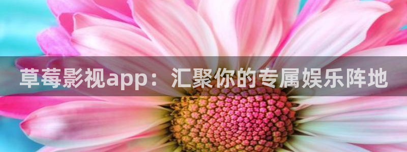 屁屁草草影院ccyycom：草莓影视app：汇聚你的专属娱乐阵地