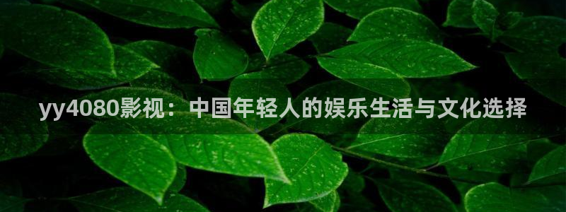 草草青青影院：yy4080影视：中国年轻人的娱乐生活与文化选择
